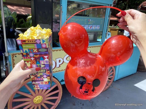 Great Reasons to Buy the Refillable Popcorn Tubs at Walt Disney World