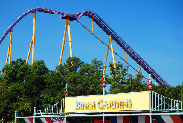 What is the Best Time of Year to Visit Busch Gardens to Avoid Crowds?